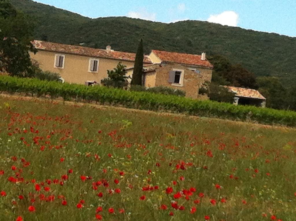 La Rivayne Bed & Breakfast Lourmarin Oda fotoğraf