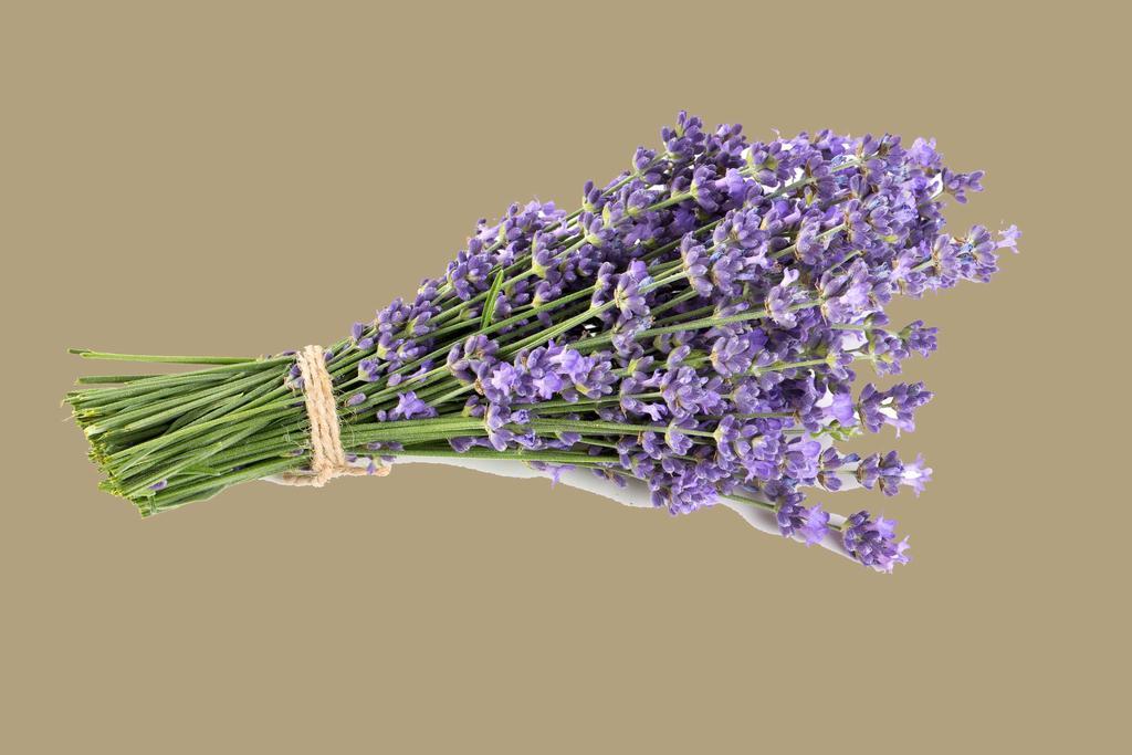 La Rivayne Bed & Breakfast Lourmarin Dış mekan fotoğraf